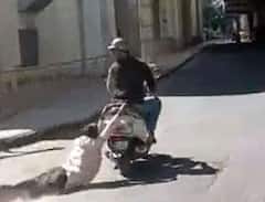 Bengaluru : เชตเซเชฆเซเชงเชจเซ เชเชพเชฎเชกเซ เชเชคเชฐเซ เชเช เชชเชฃ เชฏเซเชตเช เชธเซเชเซเชเซ เชตเชกเซ เชขเชธเชกเชคเซ เชฐเชนเซเชฏเซ, เชนเซเชฏเชฆเชฏเชฆเซเชฐเชพเชตเช Video
