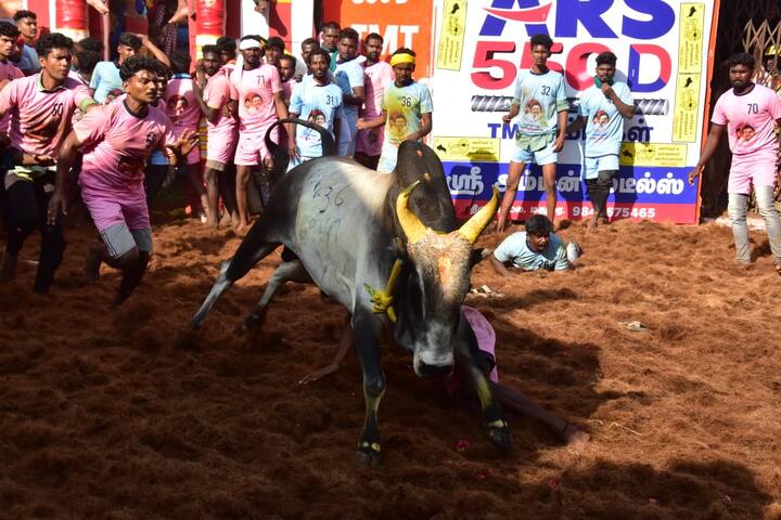 இந்த புகைப்படங்கள் தற்போது வைரலாகி வருகின்றன