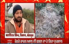 Punjab weather : ਪੰਜਾਬ 'ਚ ਕੋਹਰੇ ਦਾ ਕਹਿਰ, ਕਣਕ ਦੀ ਫ਼ਸਲ ਨੂੰ ਵਰਦਾਨ ਲੇਕਿਨ ਆਲੂਆਂ ਨੂੰ ਨੁਕਸਾਨ