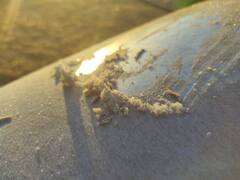 In Pics: सीकर में पारा जमाव बिन्दु के नीचे ठिठका, बर्फ बनीं ओस की बूंदें, देखें तस्वीरें