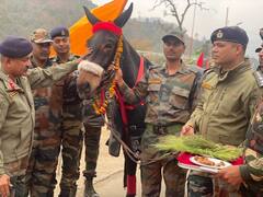 Mule Awarded Commendation Card By Army For Serving In Hostile Terrains Of Arunachal Pradesh