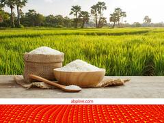 इस राज्य में संपन्न हुआ धान की खरीद का महाभियान, 25 लाख किसानों से खरीदा रिकॉर्ड धान