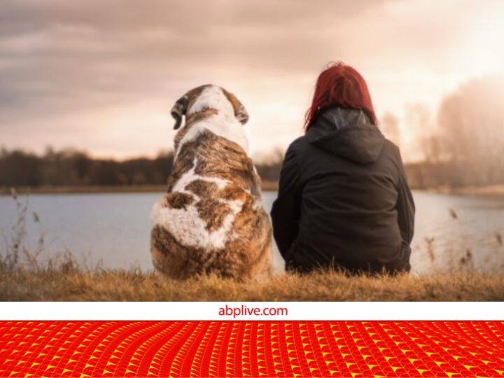 Difference Between Human life Span and Animals life span dna mutation is the reason behind this उम्र मापने के भी हैं दो पैमाने!...समझिए जानवरों की उम्र इंसानों की तुलना में कम क्यों होती है