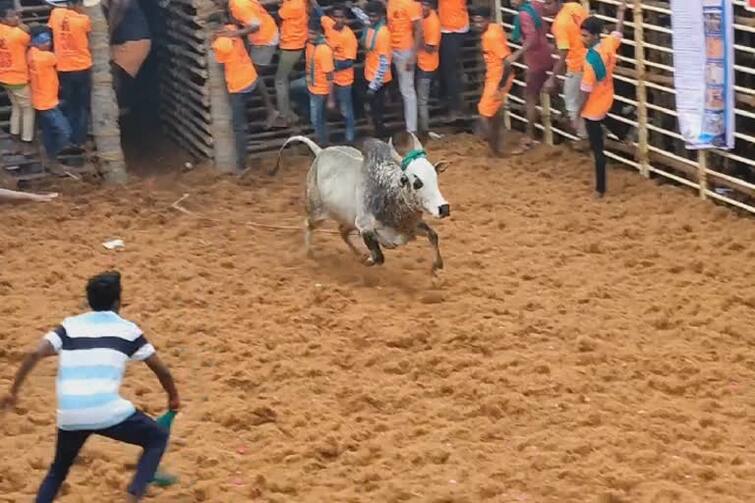 Thanjavur: Jallikattu competition on 19th in Thirukanurpatti; Preparations are busy TNN திருக்கானூர்பட்டியில் வரும் 19ம் தேதி ஜல்லிக்கட்டு போட்டி; ஏற்பாடுகள் மும்முரம்