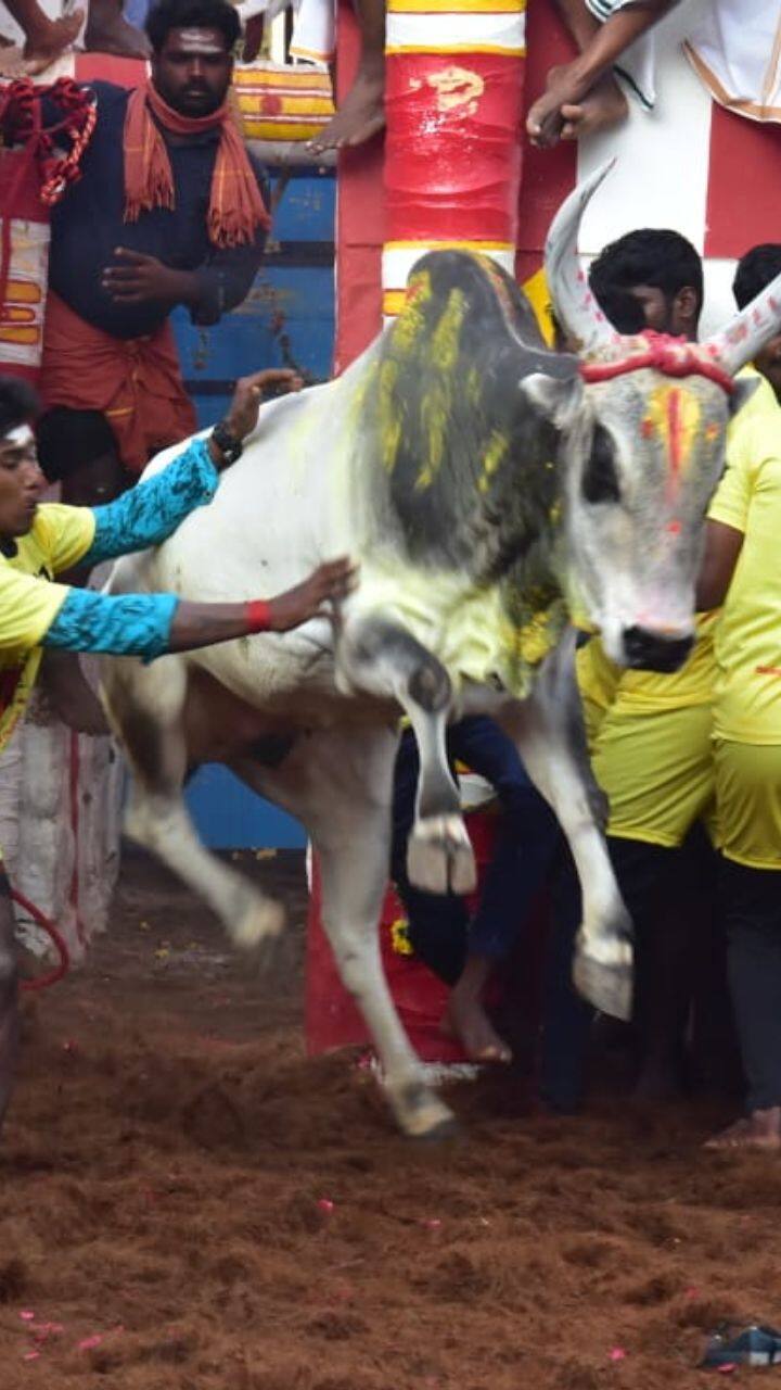 நடிகர் சூரி பெயரில் அவிழ்க்கப்பட்ட புரூஸ்லீ வெற்றி பெற்றது
