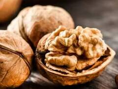 Walnut Chikki Recipe: ਸਿਰਫ ਮੂੰਗਫਲੀ ਹੀ ਨਹੀਂ ਬਲਕਿ ਅਖਰੋਟ ਅਤੇ ਗੁੜ ਦੀ ਚਿੱਕੀ ਵੀ ਬਹੁਤ ਮਜ਼ੇਦਾਰ, ਇੱਕ ਵਾਰ ਕਰੋ ਟ੍ਰਾਈ