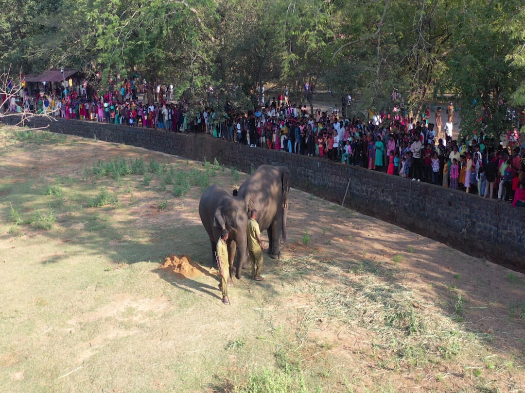 Chennai Vandalur Zoo Tickets To Cost Double Now Entry Ticket Will Be