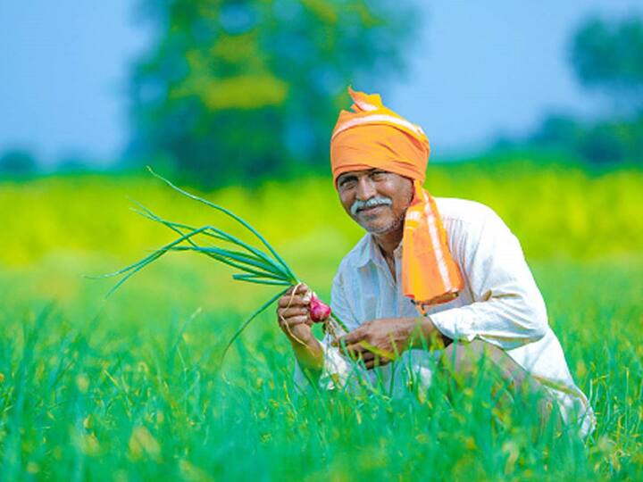 no compulsory of cibil for farmer crop loan cooperative commissioner letter to all banks in maharashtra शेतकऱ्यांसाठी खुशखबर! आता पीक कर्ज मिळणं झालं सोपं, सिबिलची अट रद्द करण्याचे सहकार आयुक्तांचे आदेश 
