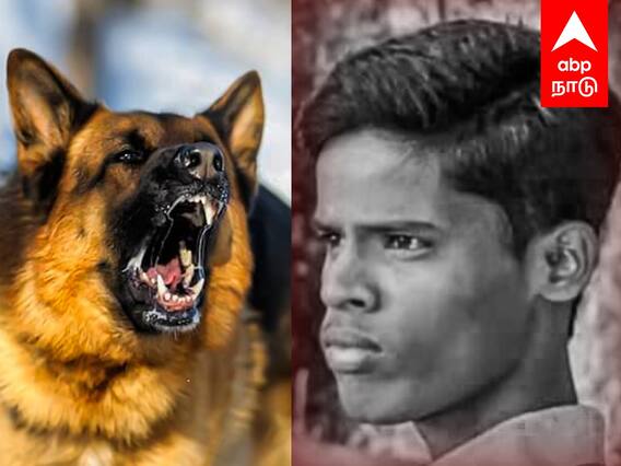 Swiggy Delivery Boy Died : நாய் துரத்தியதால் விபரீதம்.. உயிரிழந்த ஸ்விக்கி டெலிவரி பாய்..