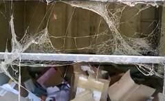 In Pics : पुण्यातील शासकीय दूर शिक्षण तंत्र निकेतन कार्यालयात चोरी; परिसरात खळबळ