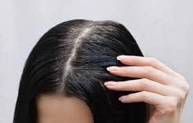 तुलसी का तेल बालों की इन 6 समस्या में कर सकता है कमाल, एक बार जरूर आजमाएं तुलसी का तेल बालों की इन 6 समस्या में कर सकता है कमाल, एक बार जरूर आजमाएं
