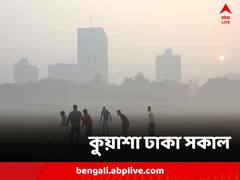 সকাল থেকে কুয়াশা ঢাকা সূর্য, কিছু জেলায় বৃষ্টির পূর্বাভাস