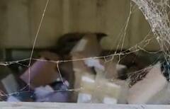 In Pics : पुण्यातील शासकीय दूर शिक्षण तंत्र निकेतन कार्यालयात चोरी; परिसरात खळबळ