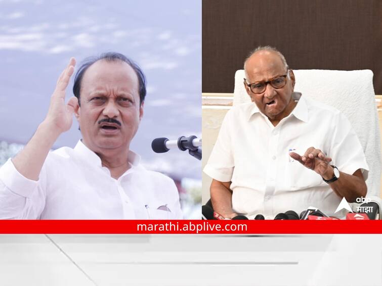 ncp chief sharad pawar on devendra fadnavis s claims that ajit pawar formed government with them with support of sharad pawar Maharashtra Politics : 'पवारांच्या सहमतीनं अजितदादांनी माझ्यासोबत सरकार स्थापन केले होते', देवेंद्र फडणवीसांच्या दाव्यावर NCP प्रमुखांचं उत्तर 