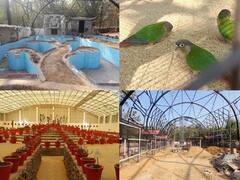 Chhattisgarh: बस्तर में प्रदेश का पहला एवीयरी बनकर तैयार, एक साथ दिखेगा चार हजार पक्षियों का समूह, सीएम बघेल करेंगे उद्घाटन