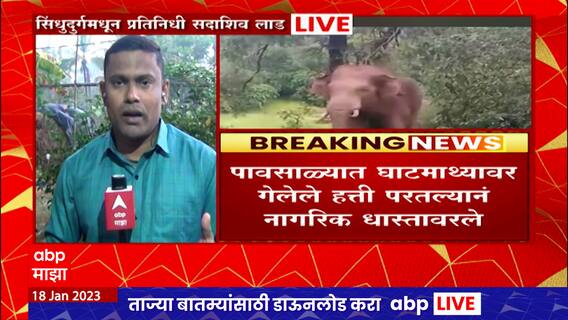 Sindhudurg Tillari : सिंधुदुर्गच्या दोडामार्ग तालुक्यातील तिलारी खोऱ्यात टस्कर हत्तीचा धुडगूस