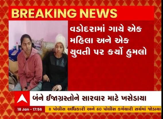 Vadodara: રખડતા ઢોરે વાહન પર જઈ રહેલી નણંદ અને ભાભી પર કર્યો હુમલો