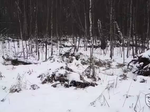 તેમને પોતાના બીજા ટ્વીટ કહ્યું કે, યૂક્રેનની સેના દુશ્મનના ડ્રૉન અને યુએવીથી કીવ અને કીવના ઉપરના આકાશને પુરેપુરી રીતે ખતમ કરી દેશે.