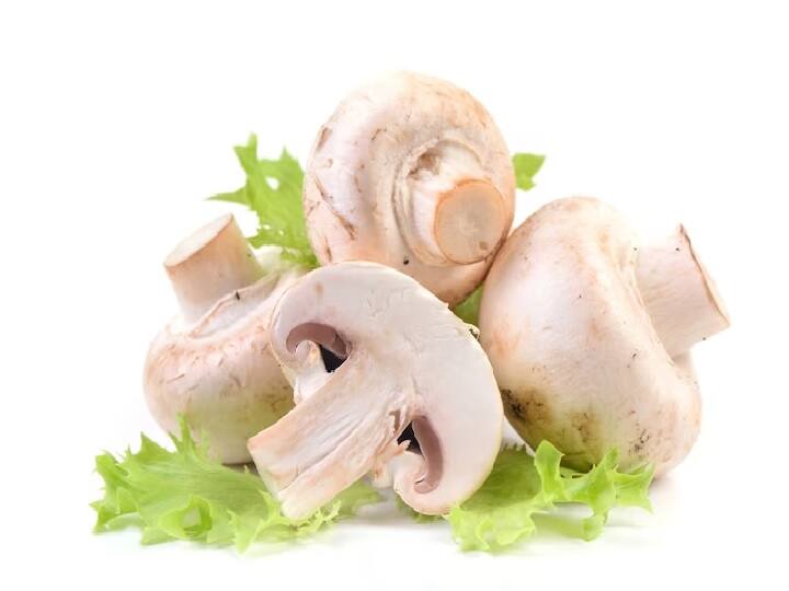 Reduce signs of aging through mushroom Health Benefits of Mushroom: स्किन में दिख रहे हैं बढ़ती उम्र के लक्षण? आज से ही खाने में शामिल करें मशरूम