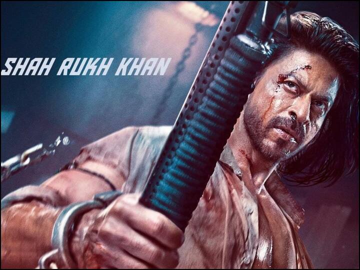 Salman Khan to Saif Ali Khan Play the Raw Agent in Ek Tha Tiger and Phantom Before Shah Rukh Khan Pathaan Watch on OTT 'पठान' से पहले 'टाइगर' के साथ ये रॉ एजेंट भी कर चुके हैं बड़ा धमाका, नहीं देखीं तो तुरंत देख डालिए