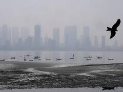 महाराष्ट्र में ठंड से अभी नहीं मिलेगी राहत, कई इलाकों में हल्की बारिश की आशंका, जानें मुंबई का हाल