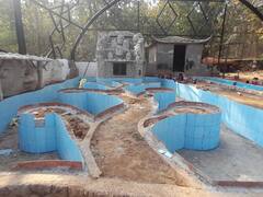 Chhattisgarh: बस्तर में प्रदेश का पहला एवीयरी बनकर तैयार, एक साथ दिखेगा चार हजार पक्षियों का समूह, सीएम बघेल करेंगे उद्घाटन