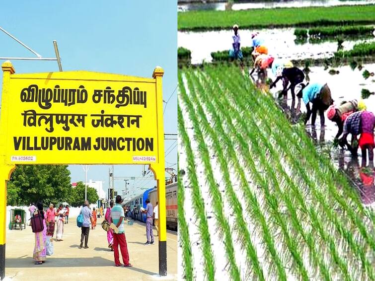 Villupuram : All village integrated agricultural development program camp of artist in 183 villages விழுப்புரம் : 183 கிராமங்களில் கலைஞரின் அனைத்து கிராம ஒருங்கிணைந்த வேளாண் வளர்ச்சித் திட்ட முகாம்