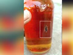 குவாட்டர் பாட்டிலில் கரப்பான் பூச்சி... மதுபிரியர் அதிர்ச்சி..!