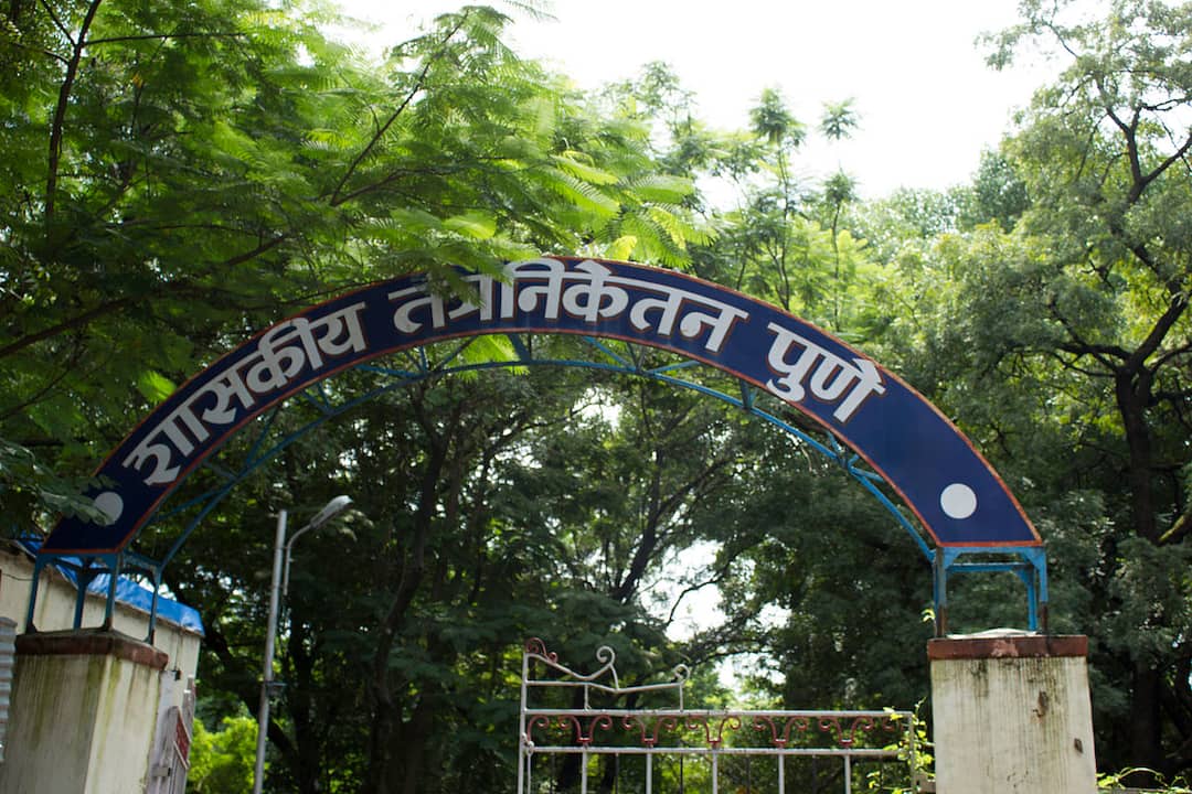 Pune News : पुण्यातील शासकीय दूर शिक्षण तंत्र निकेतन कार्यालयात चोरी; महत्वाचे कागदपत्रे चोरले Theft at Government Distance Education Technology office in Pune Pune News : पुण्यातील शासकीय दूर शिक्षण तंत्र निकेतन कार्यालयात चोरी; महत्वाचे कागदपत्रे चोरले