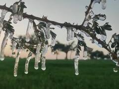 जम गया रेगिस्तान! 15 साल का रिकॉर्ड टूटा, माइनस में पहुंचा पारा, हर तरफ बिछी बर्फ की चादर