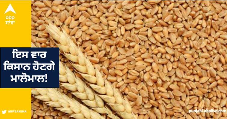 wheat prices continue to rise due to lack of supply flour rate also up in indian market ਇਸ ਵਾਰ ਕਿਸਾਨ ਹੋਣਗੇ ਮਾਲੋਮਾਲ!, ਕਣਕ ਦਾ ਭਾਅ ਤਿੰਨ ਹਜ਼ਾਰ ਤੋਂ ਵੱਧ