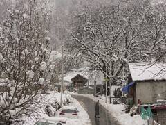 इस बार उत्तर भारत में क्यों पड़ रही भयानक ठंड? ये है कोहरे और शीतलहर के पीछे की बड़ी वजह