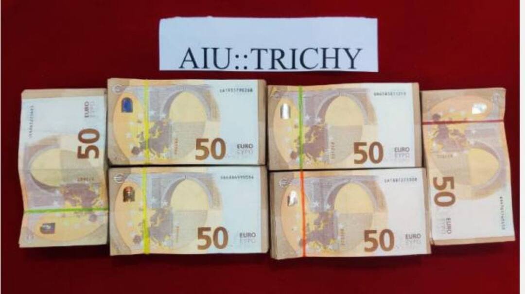 திருச்சியில் ரூ.32¾ லட்சம் வெளிநாட்டு பணம் பறிமுதல்