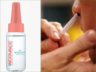 Intranasal Vaccine: மூக்கு வழியாக செலுத்தக்கூடிய கொரோனா தடுப்பூசி எப்போது பயன்பாட்டுக்கு வரும்.. தகவல் இதோ..