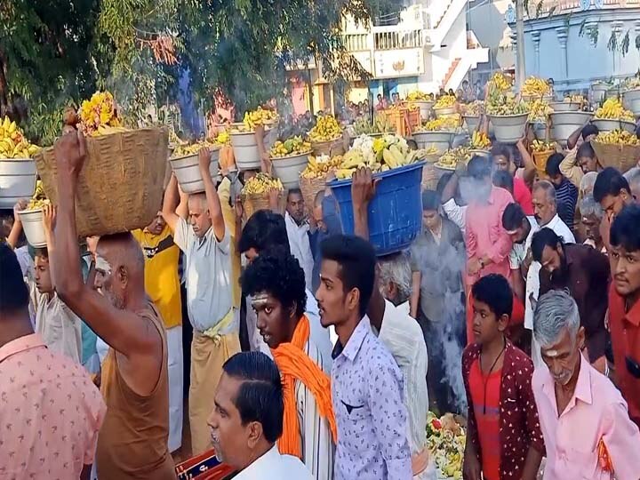 வாழைப் பழங்களை சூறையிட்டு வழிபாடு செய்த கிராம மக்கள்