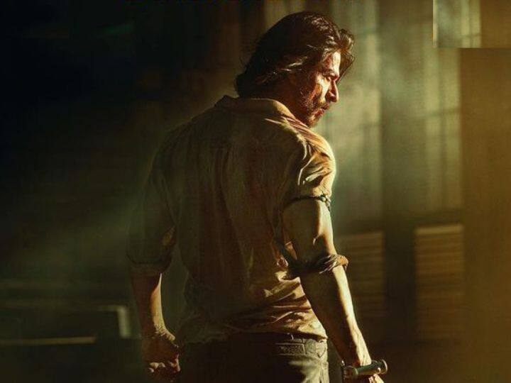 Shah Rukh Khan reveals he wanted to be an action hero ahead of pathaan release Pathaan: 'मुझे सिर्फ एक्शन हीरो बनना था,' 'पठान' की रिलीज से पहले शाहरुख खान ने किया बड़ा खुलासा