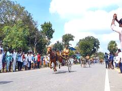 ரேக்ளா ரேஸில் கீழே விழுந்து விபத்தில் சிக்கியும் முதல் பரிசை வென்ற போட்டியாளர்