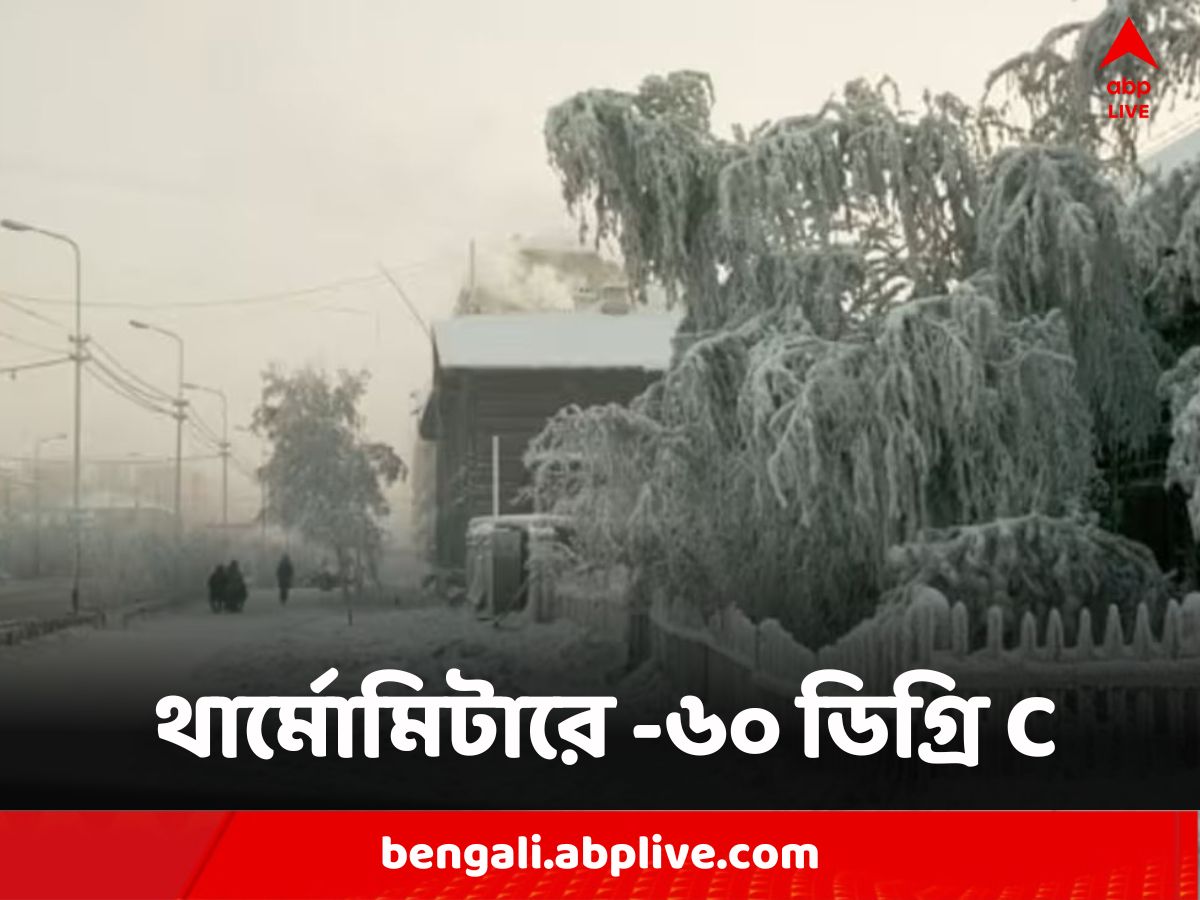 World's Coldest City: মাইনাস ৫০ ডিগ্রি! পোশাক পরার কায়দাতেই এখানে ঠেকানো হয় ঠান্ডার কামড়