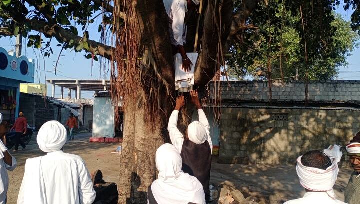 పవిత్ర గంగాజలాన్ని మర్రిచెట్టుకు కడుతున్న మెస్రం వంశీయులు