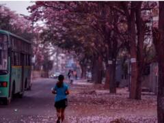 Cherry Blossom Season Photos : ਗੁਲਾਬੀ ਫੁੱਲਾਂ ਨਾਲ ਸਜੀਆਂ ਬੇਂਗਲੁਰੂ ਦੀਆਂ ਸੜਕਾਂ, ਤਸਵੀਰਾਂ ਦੇਖ ਕੇ ਤੁਸੀਂ ਵੀ ਕਹੋਗੇ 'WOW'