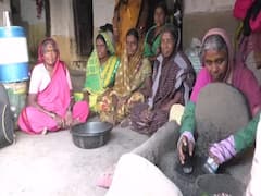 Nanded News: टीचभर पोटाची खळगी भरण्यासाठी जीवघेणा बिब्बा फोडण्याचं काम; आदिवासी महिलांची व्यथा