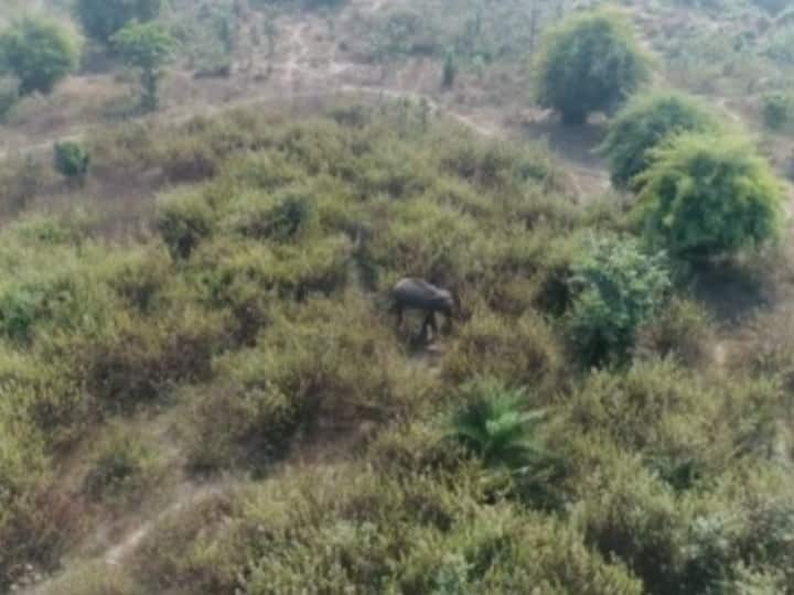 Chhattisgarh: वन विभाग की टीम ड्रोन कैमरे से हाथी पर नजर बनाए रखी है. आसपास के लोगों में डर का माहौल बना हुआ है. हाथी ने शहर के कुछ इलाकों में दीवार तोड़कर नुकसान भी पहुंचाया है.