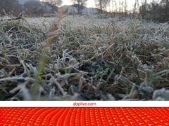 Weather Update: कुदरत का खेल देखिए.....अब राजस्थान में भी पड़ने लगी कश्मीर जैसी सर्दी, बर्फ से जम गईं सारी फसल