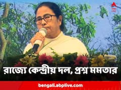 'বিএসএফ গুলি করে মারলে, ক'টা টিম আসে?' রাজ্যে কেন্দ্রীয় দল নিয়ে সরব মমতা