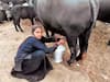 Dairy Business: 63 साल की महिला ने इस खास तरीके से किया दूध का बिजनेस, अब इनकम हो रही एक करोड़ से भी ज्यादा