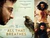 All That Breathes: ஆல் தட் ப்ரீத்ஸ்... பாஃப்டா விருதுக்கு பரிந்துரைக்கப்பட்டுள்ள இந்திய ஆவணப்படம்... ஏமாற்றிய ஆர்.ஆர்.ஆர்!