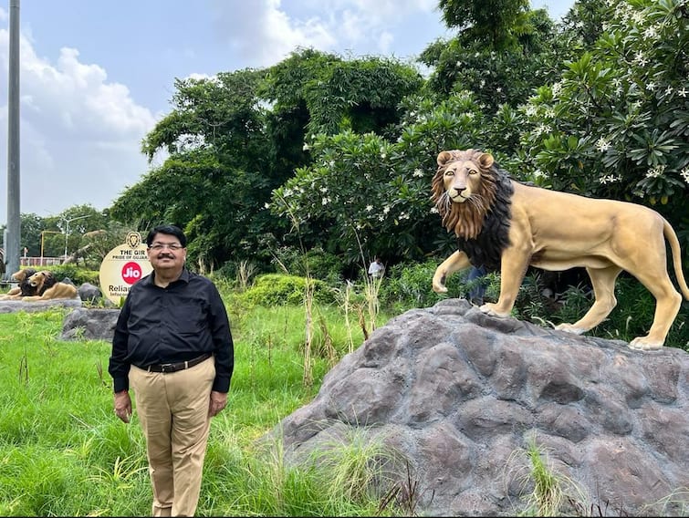 A lion wearing a radio collar was spotted in Barda Wildlife Sanctuary Asiatic lion: એશિયાટિક સિંહોએ ગુજરાતના આ વિસ્તારને બનાવ્યું પોતાનું બીજુ ઘર, પરિમલ નથવાણીએ આપ્યું મોટું નિવેદન
