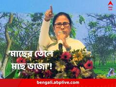 ‘আমি ভিক্ষে চাওয়ার লোক নই, নিজেদেরটা বুঝে নেব’, বকেয়া নিয়ে কেন্দ্রকে হুঁশিয়ারি মমতার