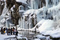 Kashmir Frozen Waterfall: প্রবল শীতে জমে বরফ গোটা ঝরনা, জমেছে লাগোয়া জলস্রোতও