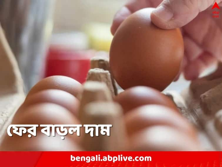 Kolkata Egg price rises again price hike hurts middle class families Egg Price: সাধারণের ডিম-ভাতেও কোপ! ফের বাড়ল দাম, পকেটে টান মধ্যবিত্তের